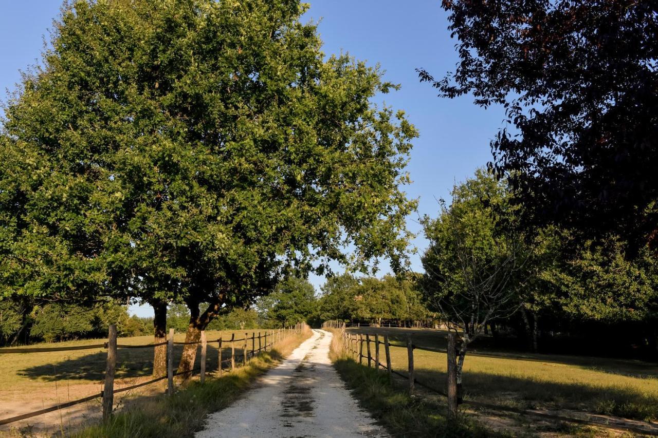 Domaine Verte Vallee Lignan-de-Bordeaux Zewnętrze zdjęcie
